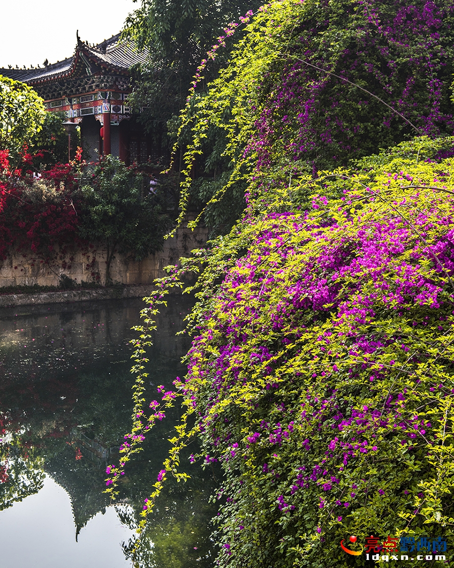 _DSC9099興義市新聞中心 張?chǎng)?攝.jpg