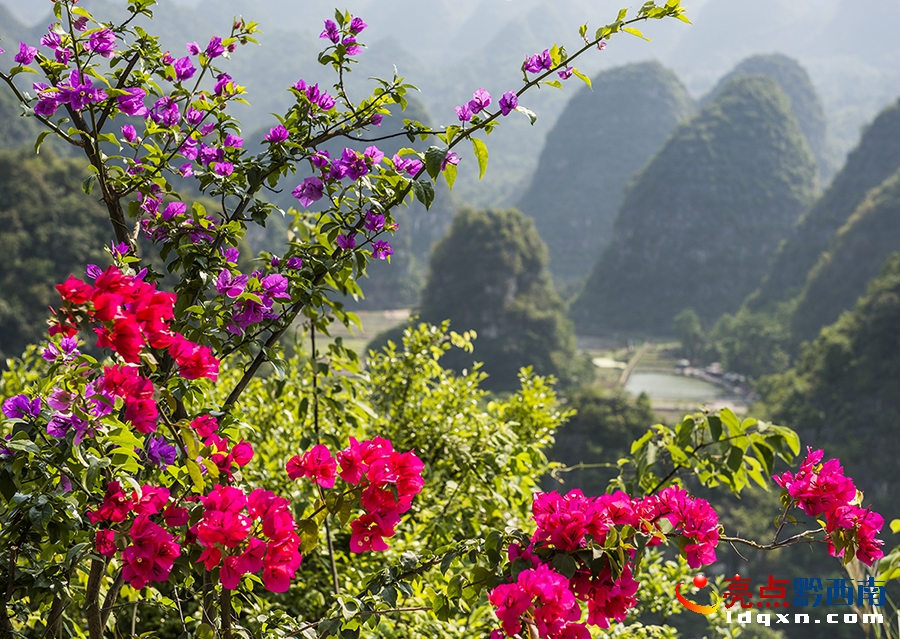 _DSC0053興義市新聞中心 張?chǎng)?攝.jpg