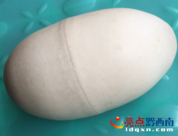 QQ截圖20160612145330.png