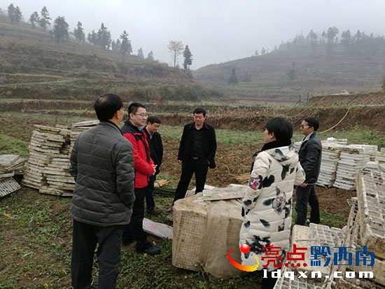 普安縣副縣長畢海濱、郭真向到羅漢鎮(zhèn)調(diào)研現(xiàn)場2.jpg