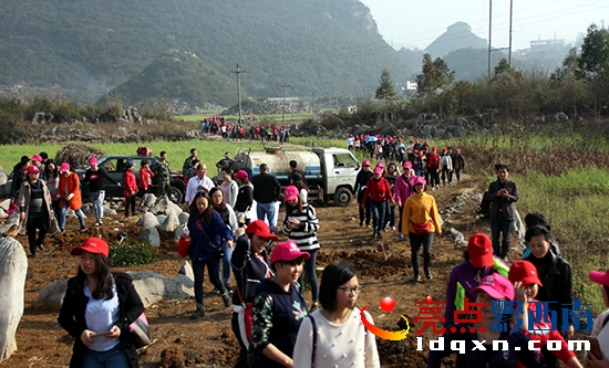 女干部職工進(jìn)入植樹現(xiàn)場—溫紹杰 攝.jpg