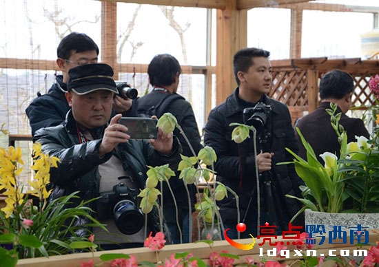 QQ截圖20170226092440.jpg