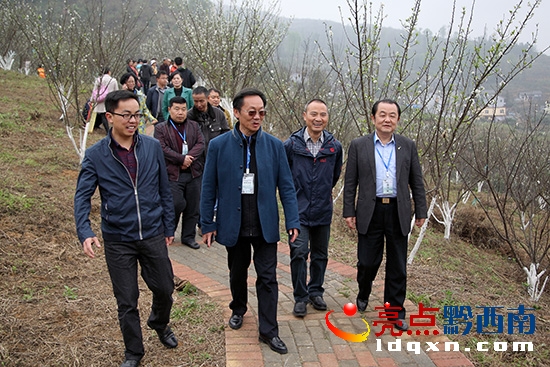 貞豐縣“萬(wàn)李雪山”第二屆李花節(jié)現(xiàn)場(chǎng) (8).jpg