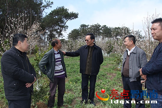 州人大副主任張成剛深入貧困戶種植櫻桃基地調(diào)研.jpg