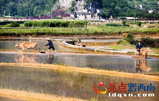 QQ截圖20170529112455.jpg