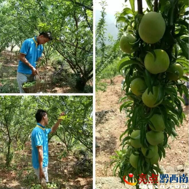 QQ截圖20170608093258.jpg
