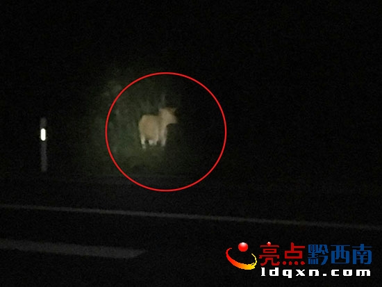 現(xiàn)場圖片 (2).jpg