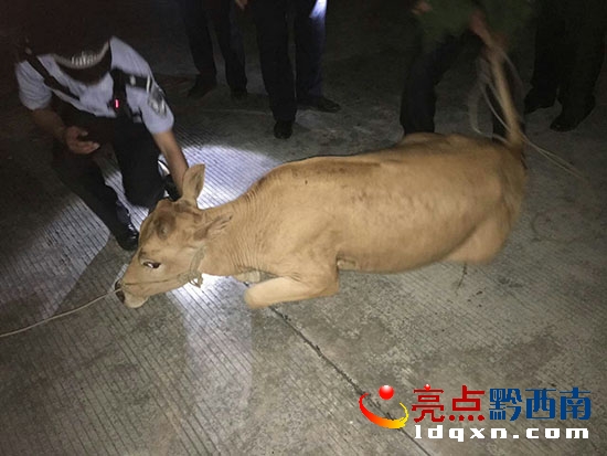 現(xiàn)場圖片 (1).jpg