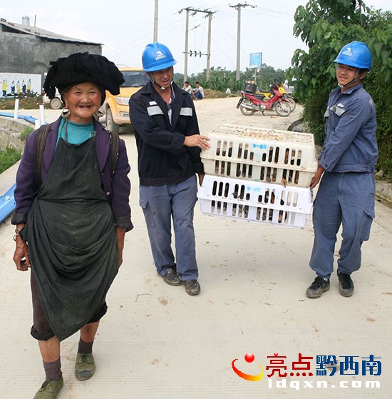 1送雞苗(貧困戶) 秦禮霖 攝_副本.jpg