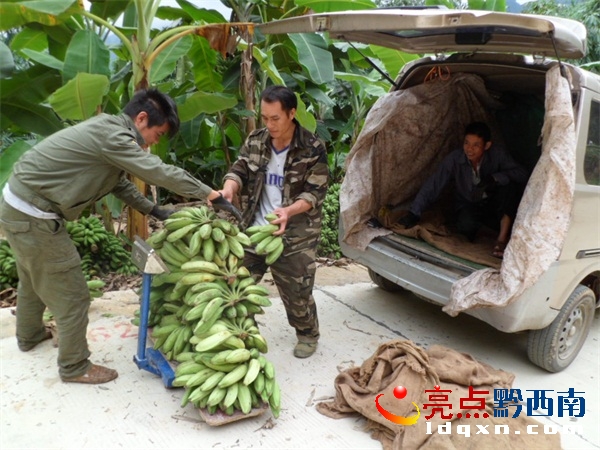 圖2.JPG