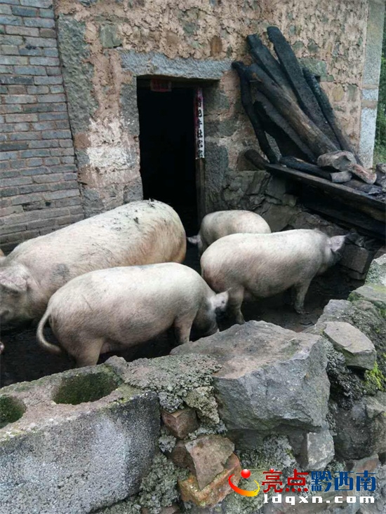 圖片4.jpg