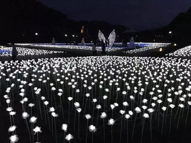 微信圖片_20180127083049.jpg