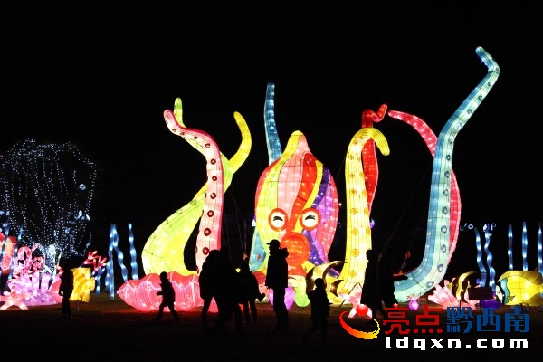 七彩章魚 郭澤玉攝.JPG