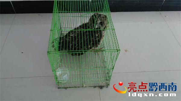 QQ圖片20180409093546.jpg