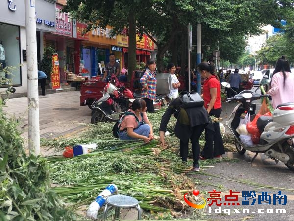 買艾草.jpg